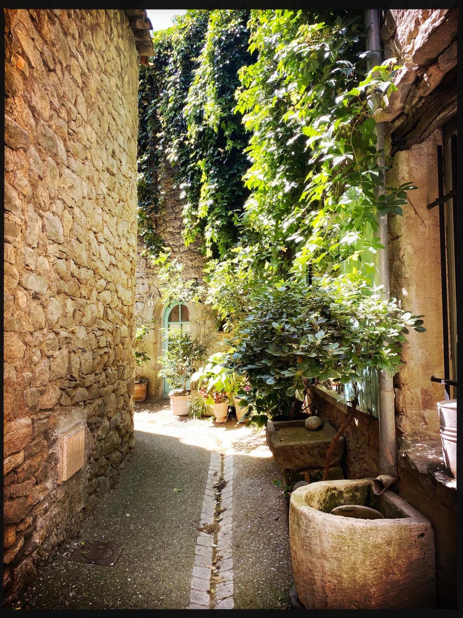 B&B Vigne Vierge Aigne  外观 照片